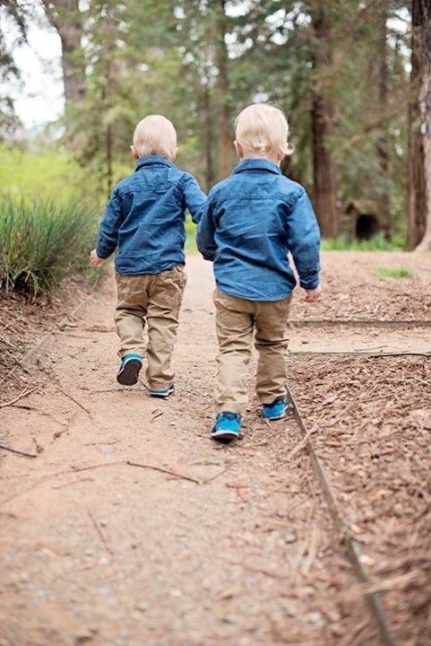 Image of Sandra Fisher's grandsons walking through the UC Davis Arboretum's Redwood Grove.