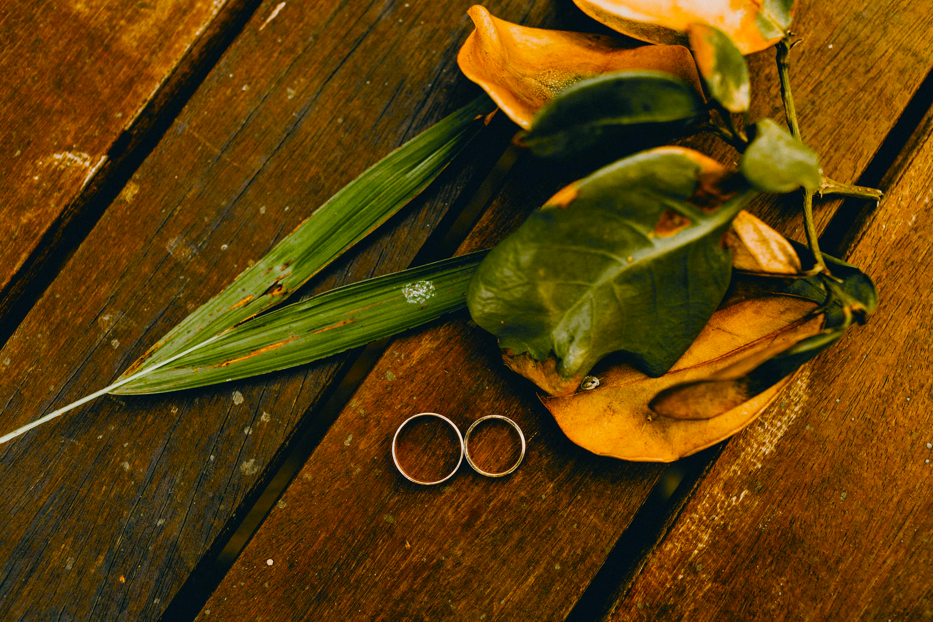 Engagement bands with leaves