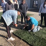 Image of Learning by Leading students installing turf as part of the SmartLawn project