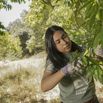 Image of Urban Tree Stewardship intern.
