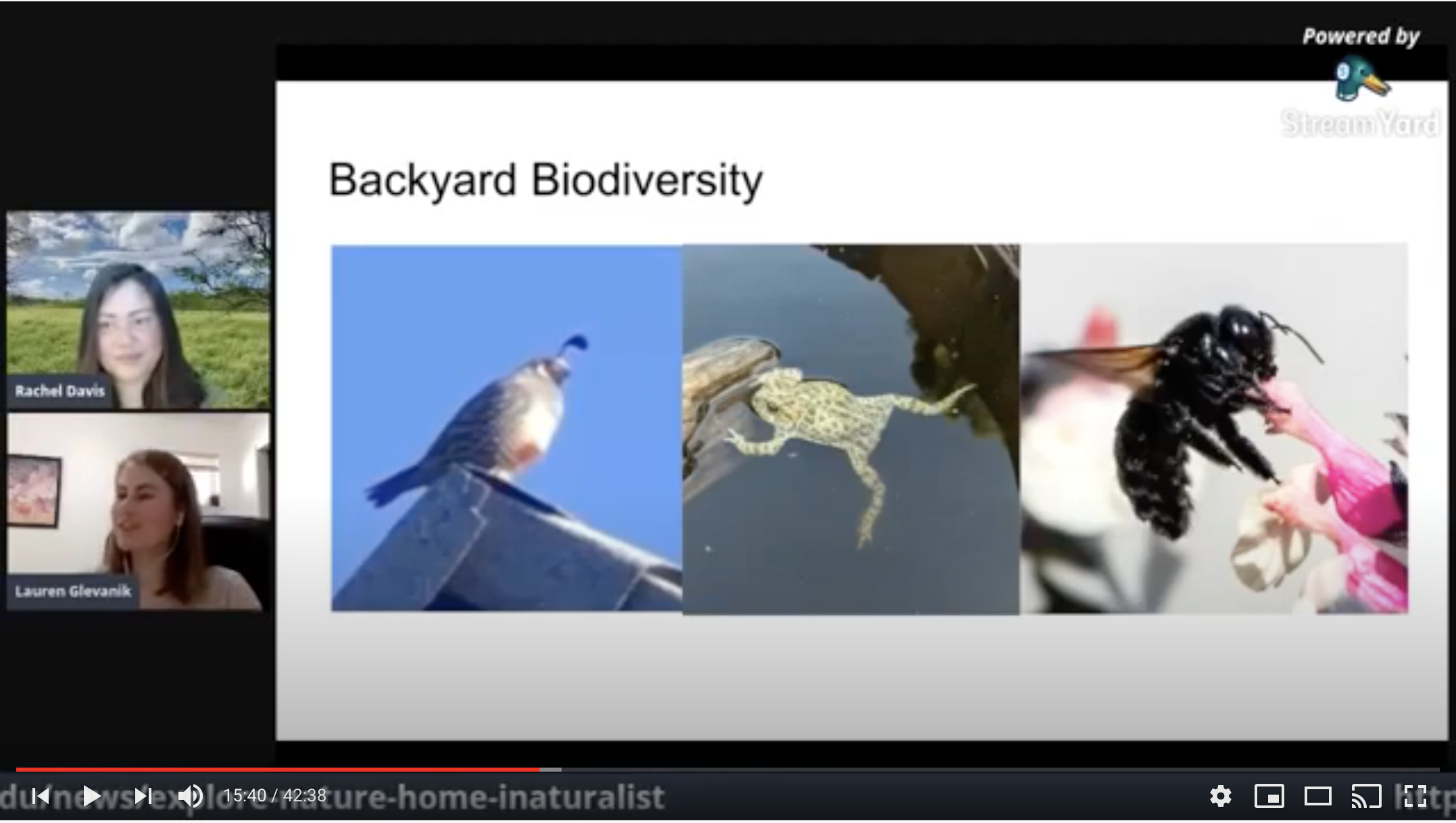 Image from a video report about iNaturalist and the Naturing at Home project.