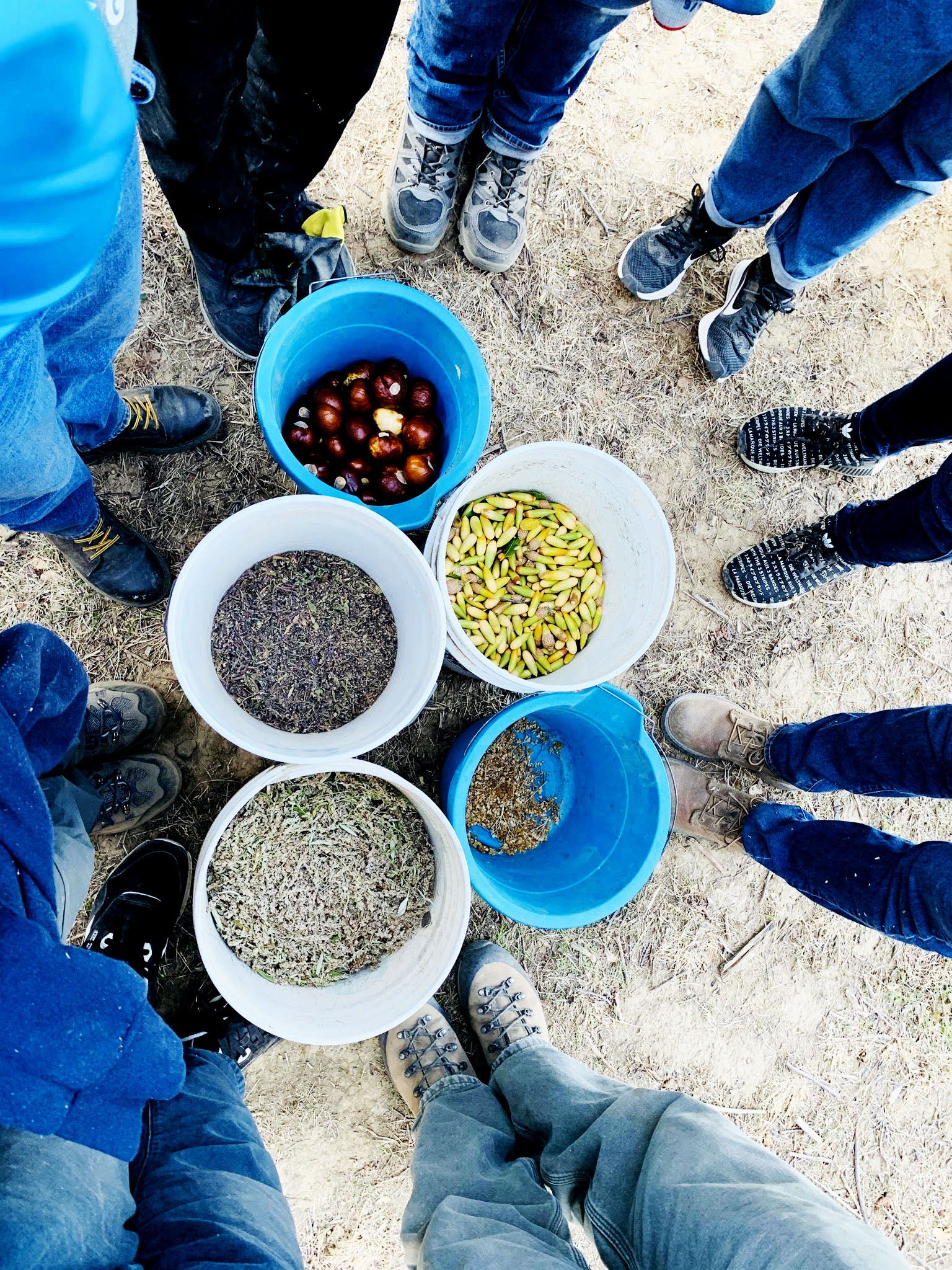 picture of interns feet in a circle gathered around seeds and acorns the team collected