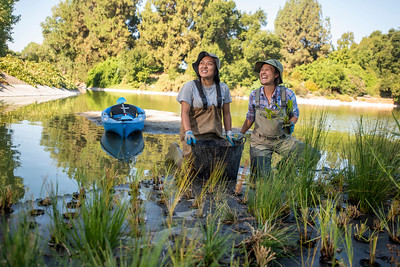 Image of Waterway Steward Nina Suzuki with student Noreen Mabini working in the Arboretum Waterway, restoring plants in the floating island.
