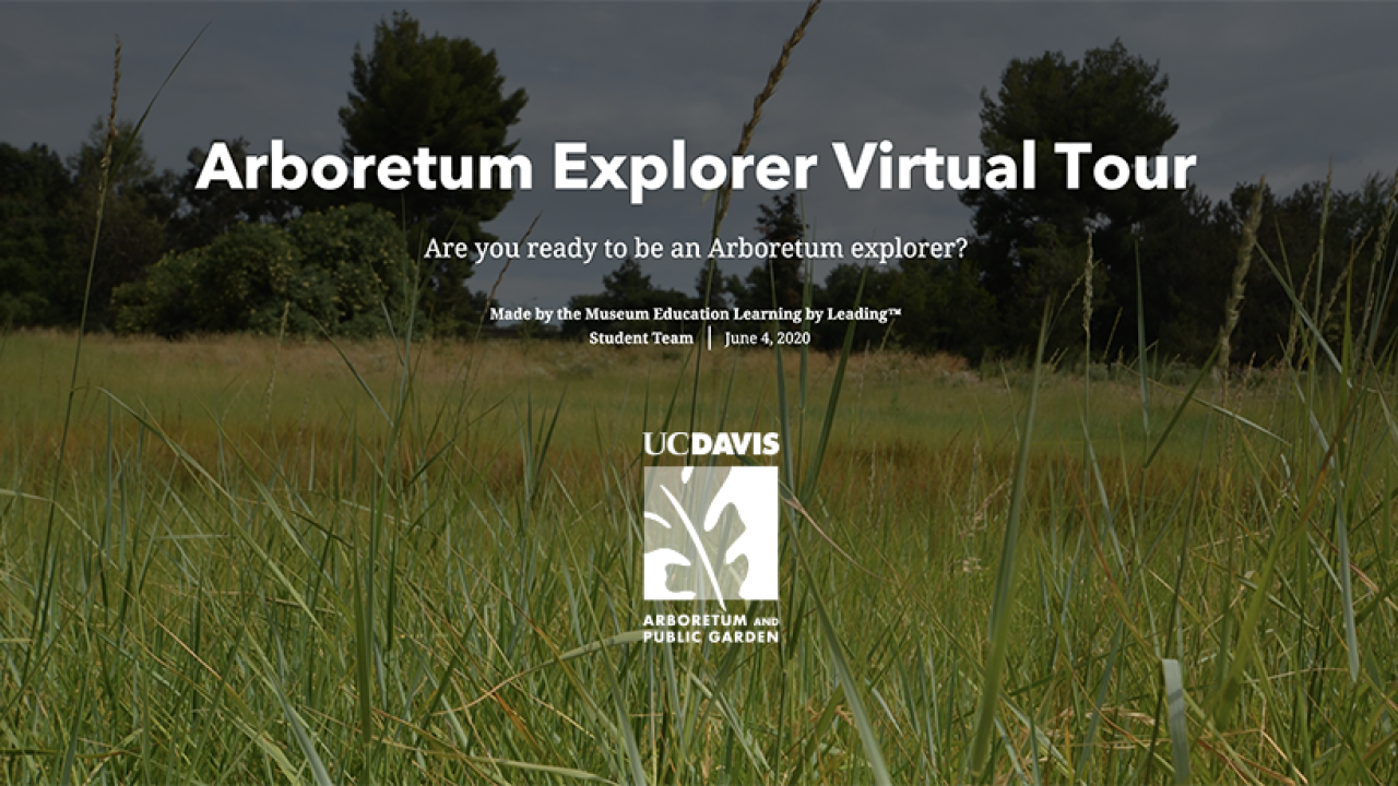Image of the opening graphic of the Arboretum Virtual Tour created by Learning by Leading Museum Education students.