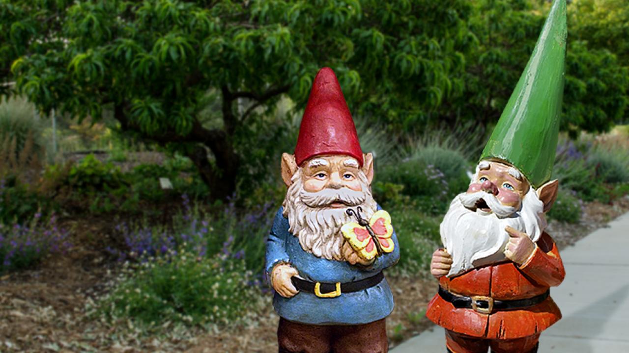 Two garden gnomes in the Arboretum and Public Garden