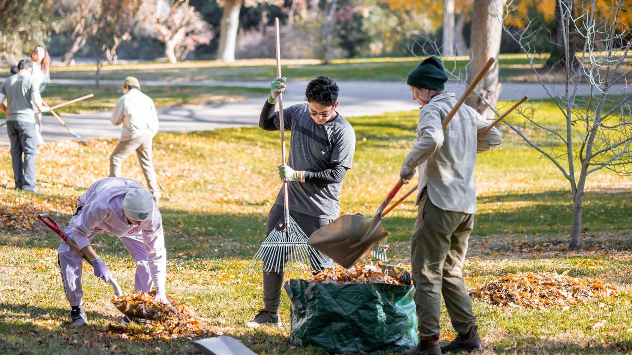 Volunteers gather autumn leaves