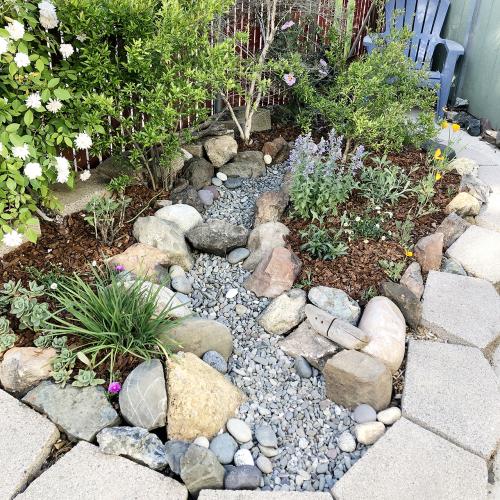 Arrangement of rocks in Tucker's garden
