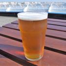 Image of a pint of beer on a picnic table.