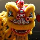 Chinese lion dance
