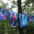 Natural Products Tie-dye Workshop