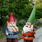 Two garden gnomes in the Arboretum and Public Garden