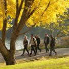 People walking among fall foliage in the Arboretum