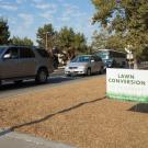 Image of Old Davis Road median as cars drive by. A lawn conversion in progress sign is posted in a large strip of mulch.