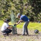 Image of two people planting a tree. 