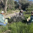 Three volunteers site near a pile of pulled weeds