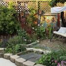 Debbie Tucker's garden 