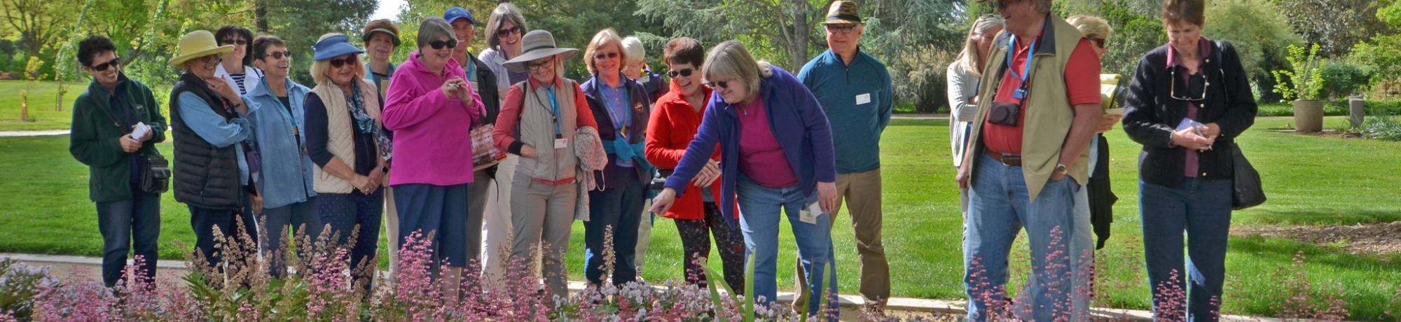 Image of Ellen Zagory leading a tour to a large group in a scenic location of the Arboretum.