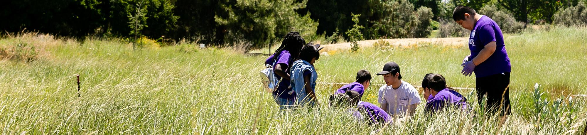 Image of Learning by Leading students teaching elementary school students in the UC Davis Arboretum Environmental GATEway.