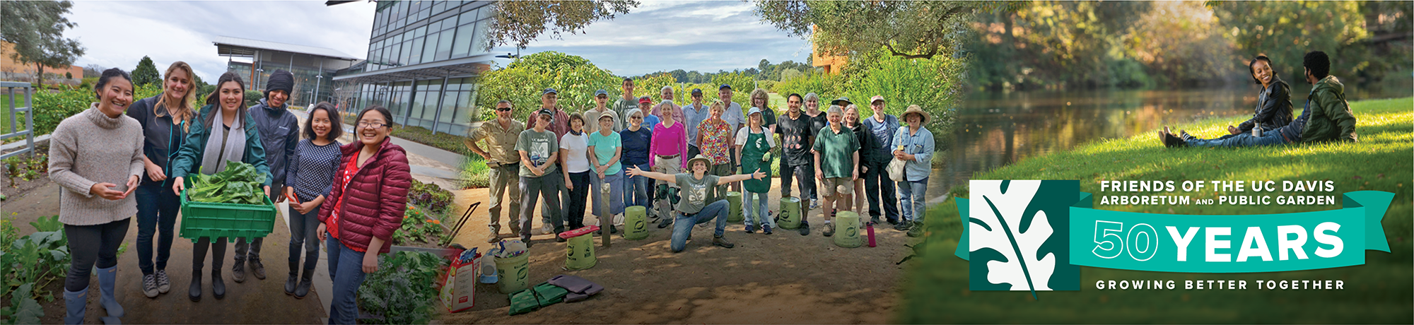 Images of visitors, students and volunteers at the Arboretum with the Friends 50th Anniversary logo and caption "growing better together"